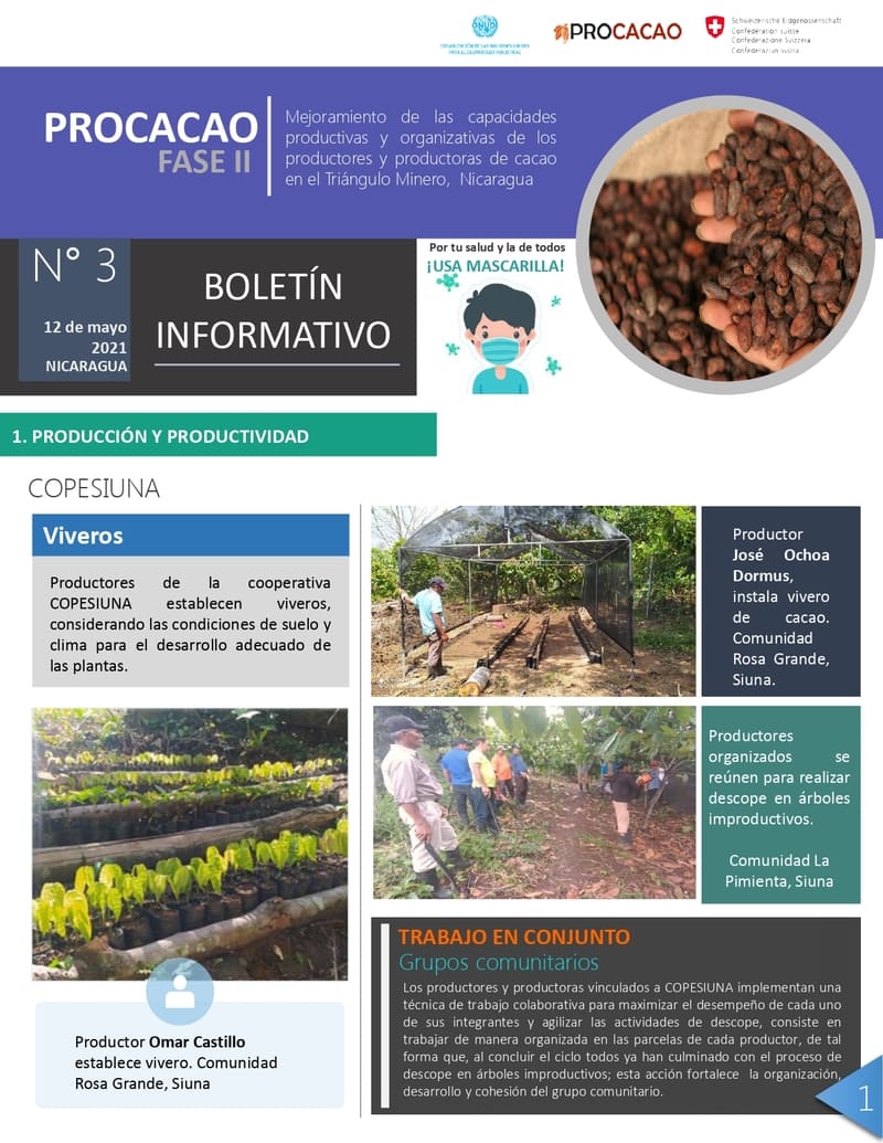Boletín PROCACAO #3